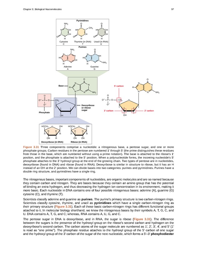 Biology - Front Matter 108
