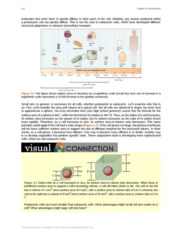 Biology - Front Matter 123