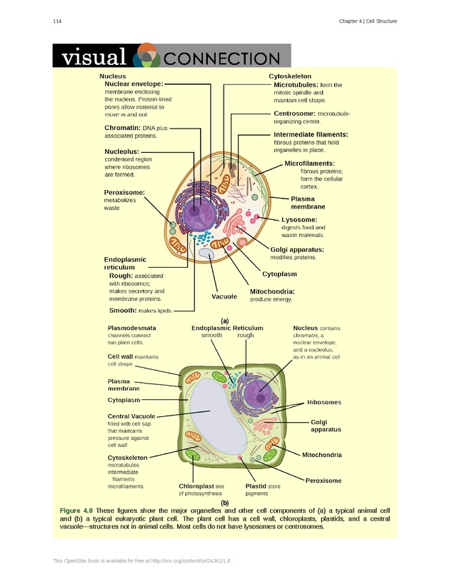 Biology - Front Matter 125