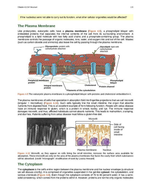 Biology - Front Matter 126