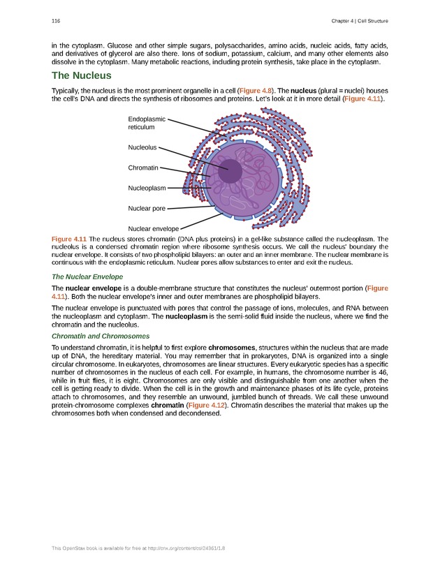 Biology - Front Matter 127