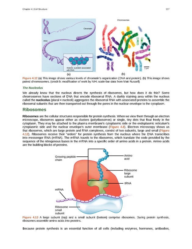 Biology - Front Matter 128