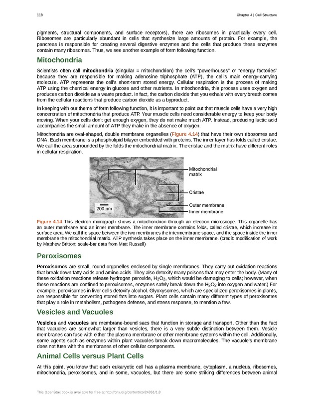 Biology - Front Matter 129