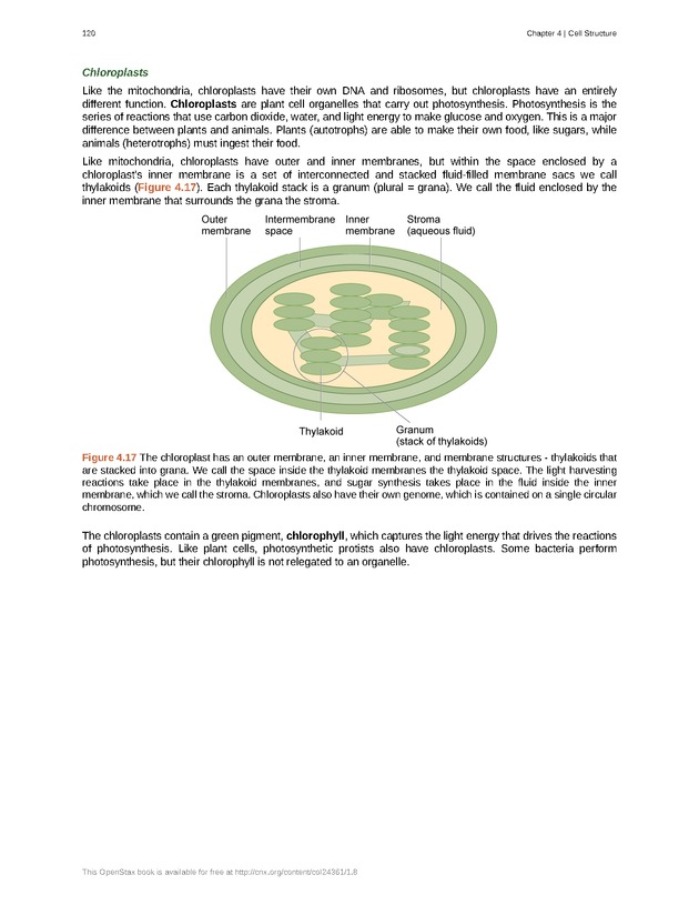 Biology - Front Matter 131