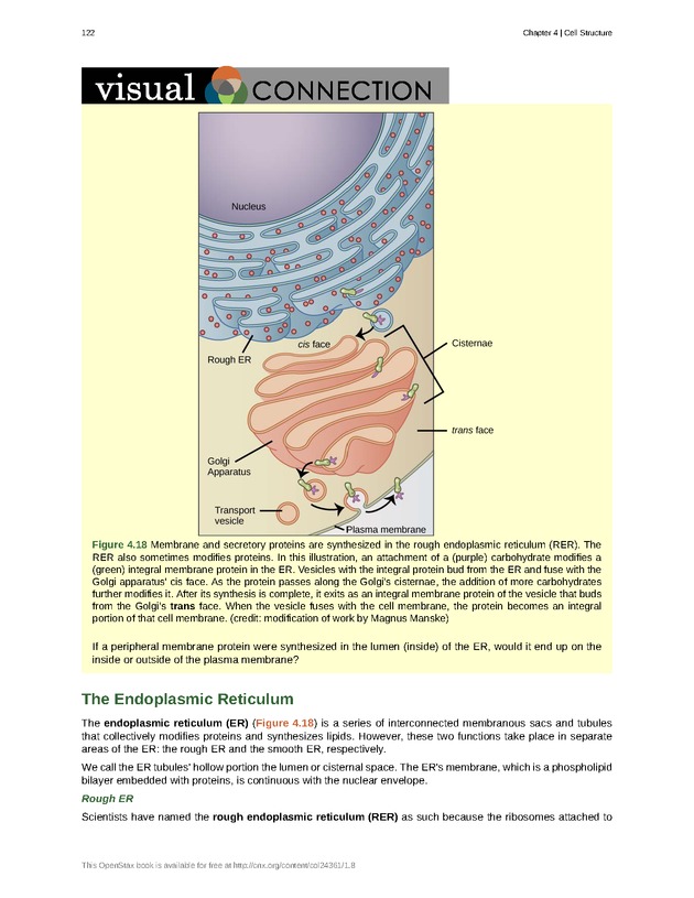 Biology - Front Matter 133