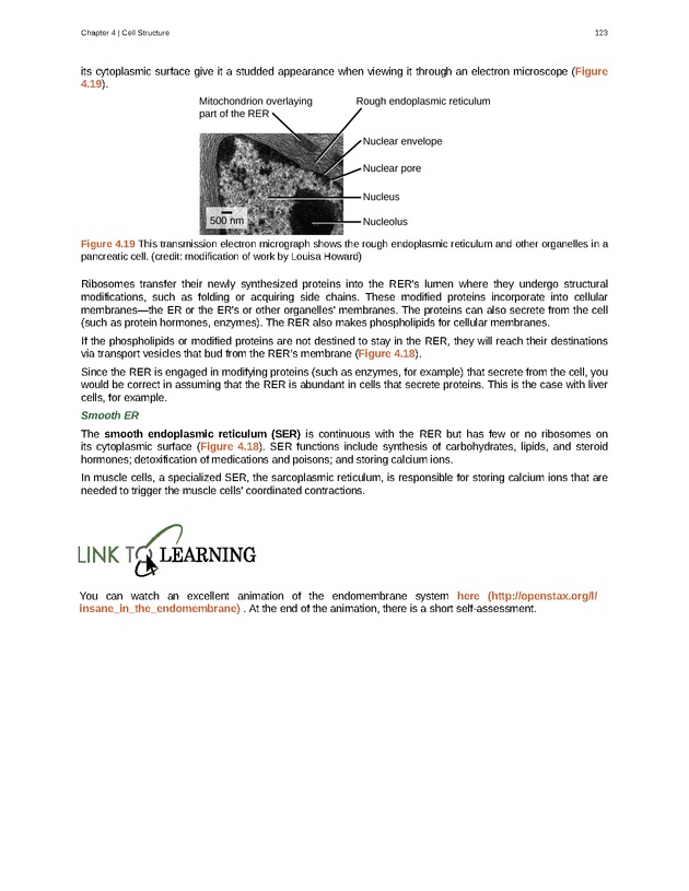 Biology - Front Matter 134