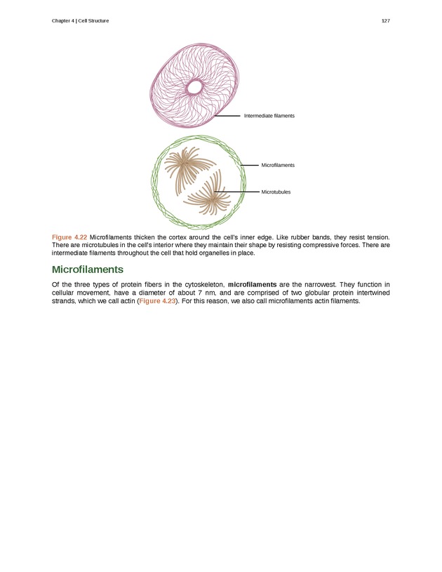 Biology - Front Matter 138
