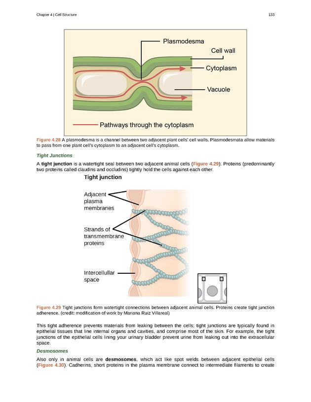 Biology - Front Matter 144