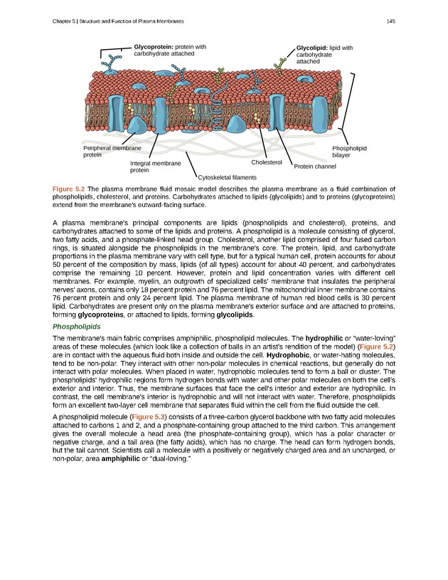 Biology - Front Matter 156