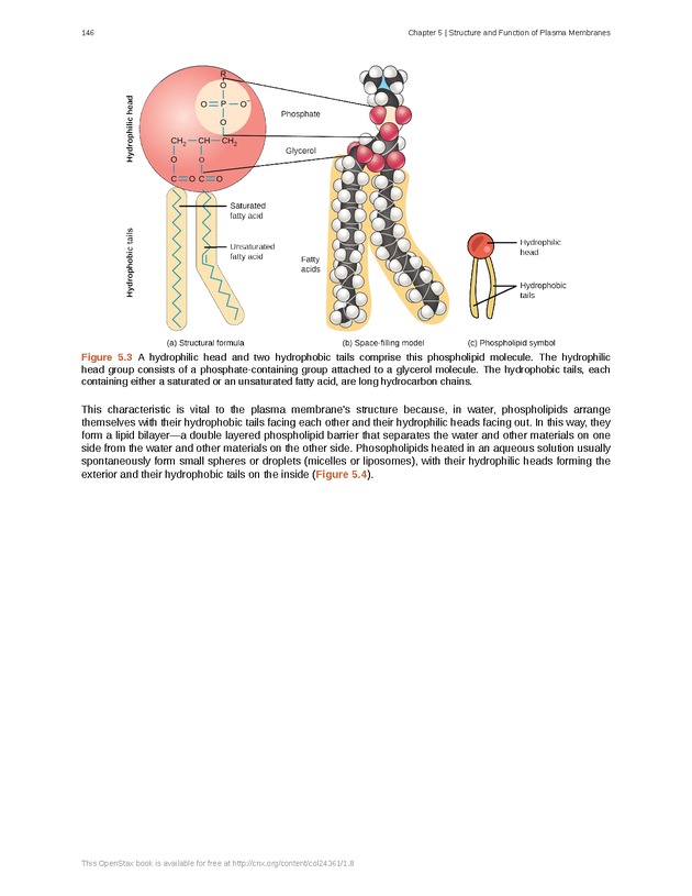 Biology - Front Matter 157