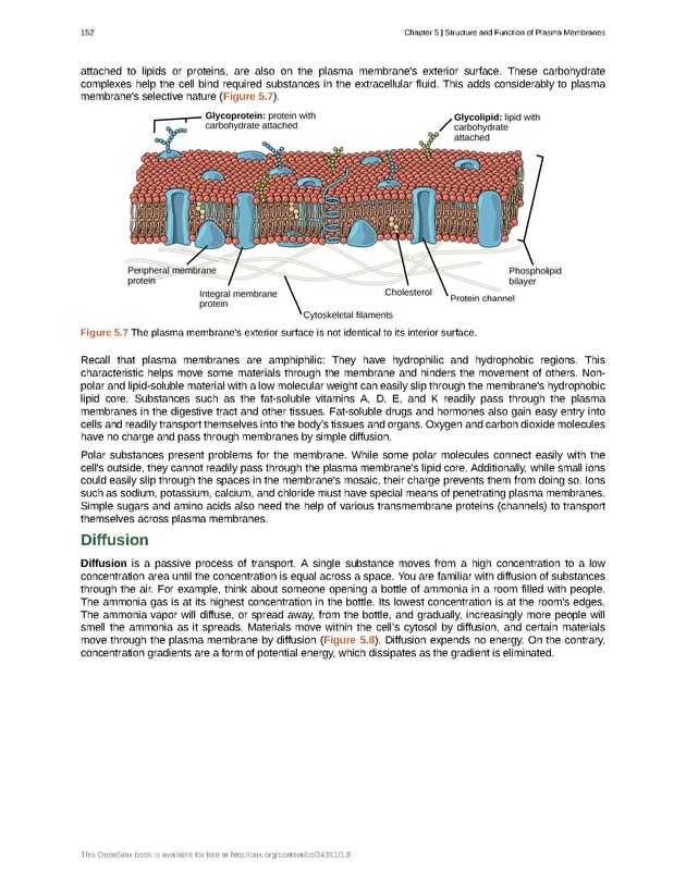 Biology - Front Matter 163