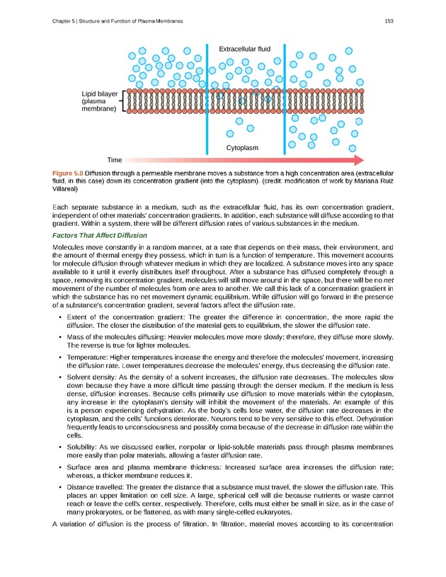 Biology - Front Matter 164