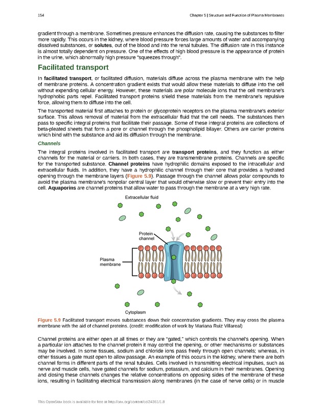 Biology - Front Matter 165