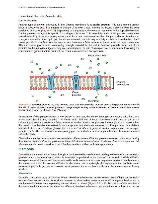 Biology - Front Matter 166