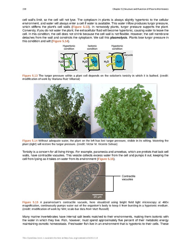 Biology - Front Matter 169