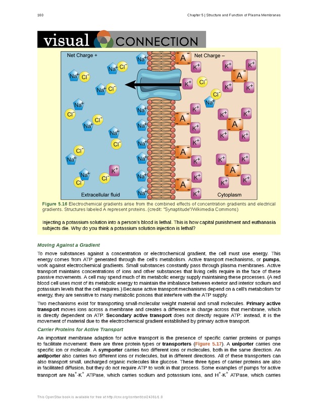 Biology - Front Matter 171