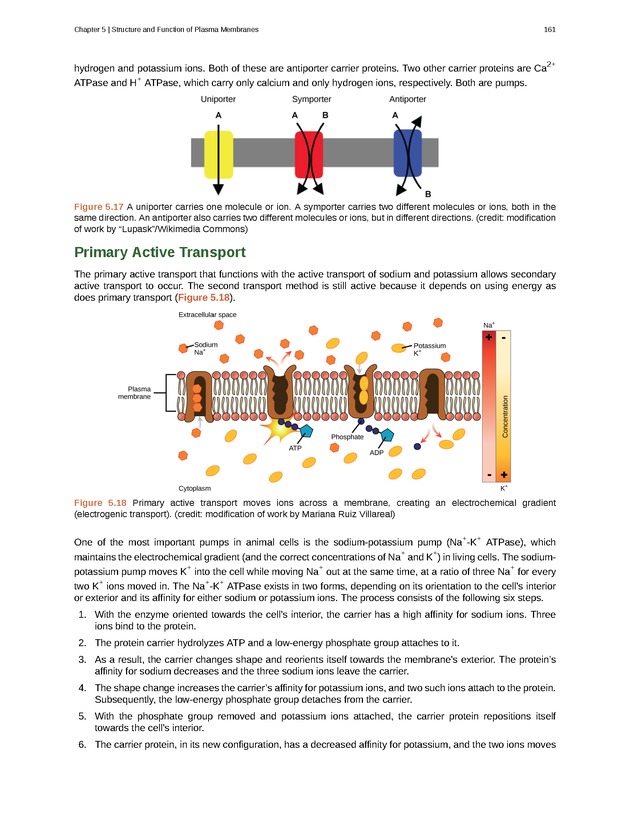 Biology - Front Matter 172