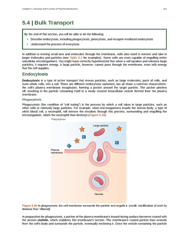 Biology - Front Matter 174