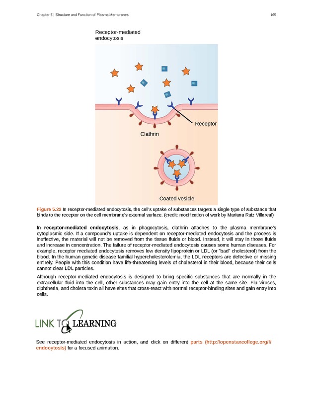 Biology - Front Matter 176