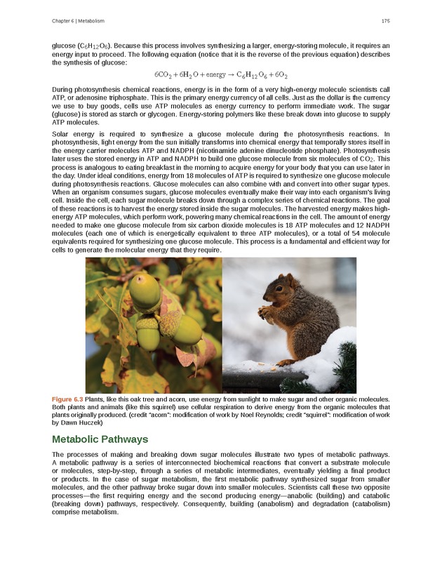 Biology - Front Matter 186