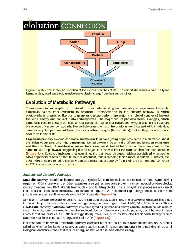 Biology - Front Matter 187