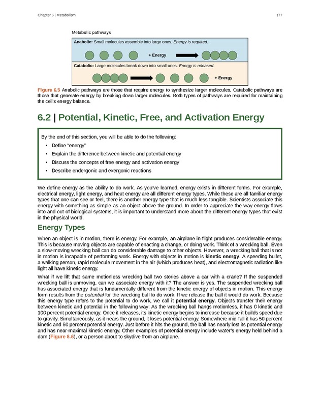 Biology - Front Matter 188