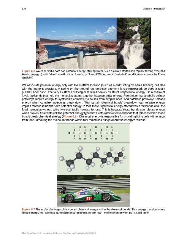Biology - Front Matter 189