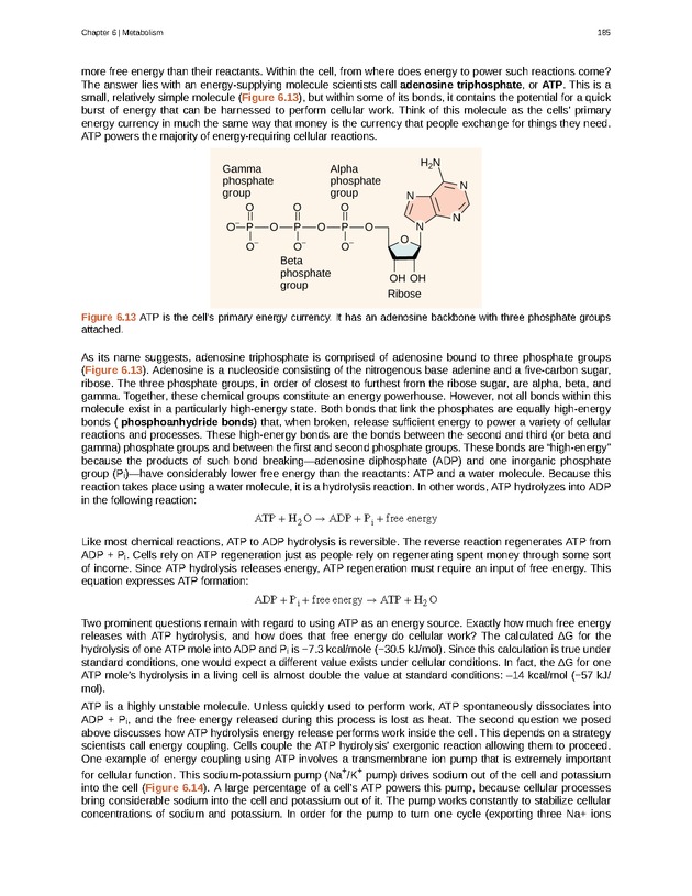 Biology - Front Matter 196