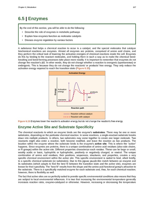 Biology - Front Matter 198