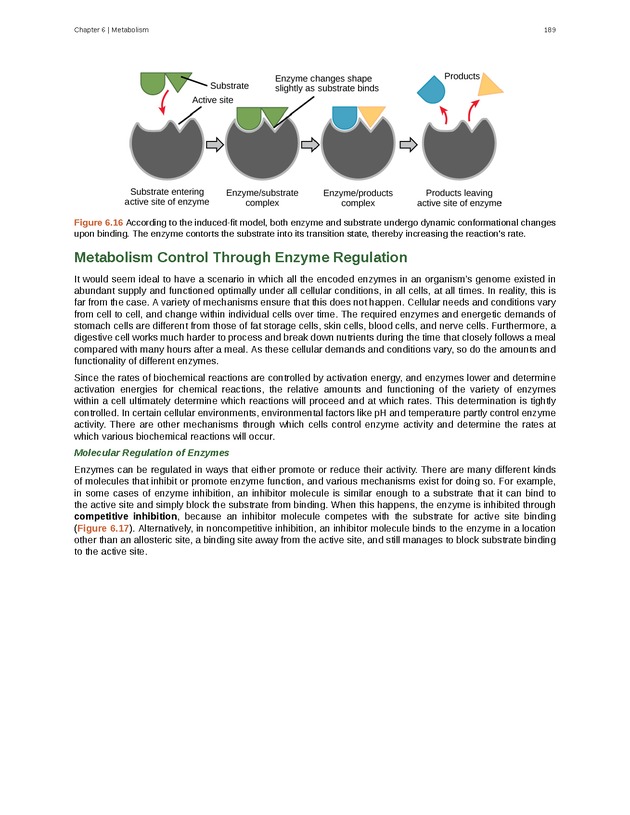 Biology - Front Matter 200