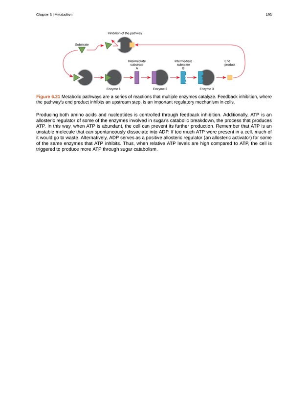 Biology - Front Matter 204