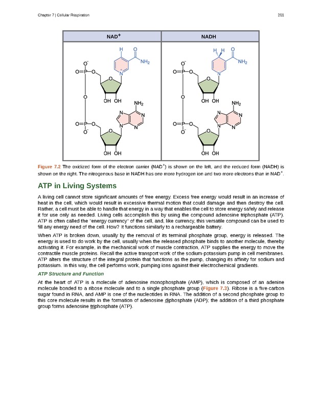 Biology - Front Matter 212