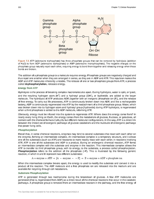 Biology - Front Matter 213