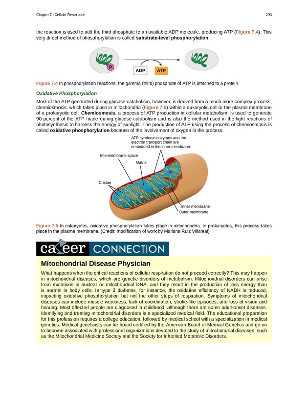 Biology - Front Matter 214