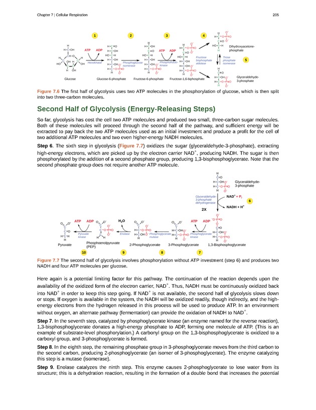 Biology - Front Matter 216