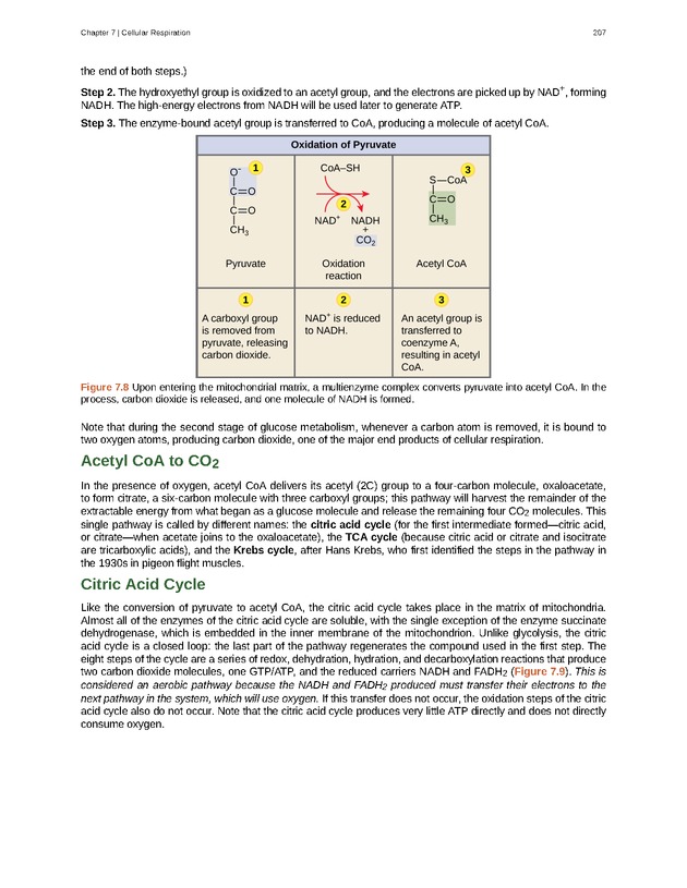 Biology - Front Matter 218