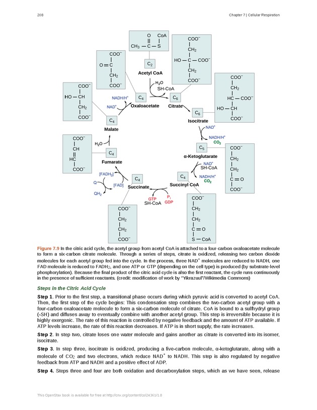Biology - Front Matter 219