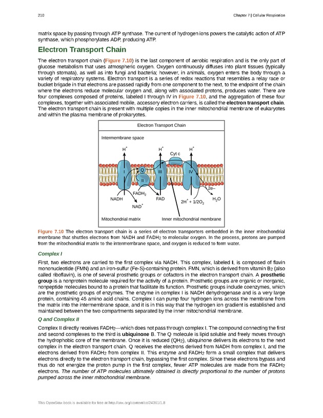 Biology - Front Matter 221