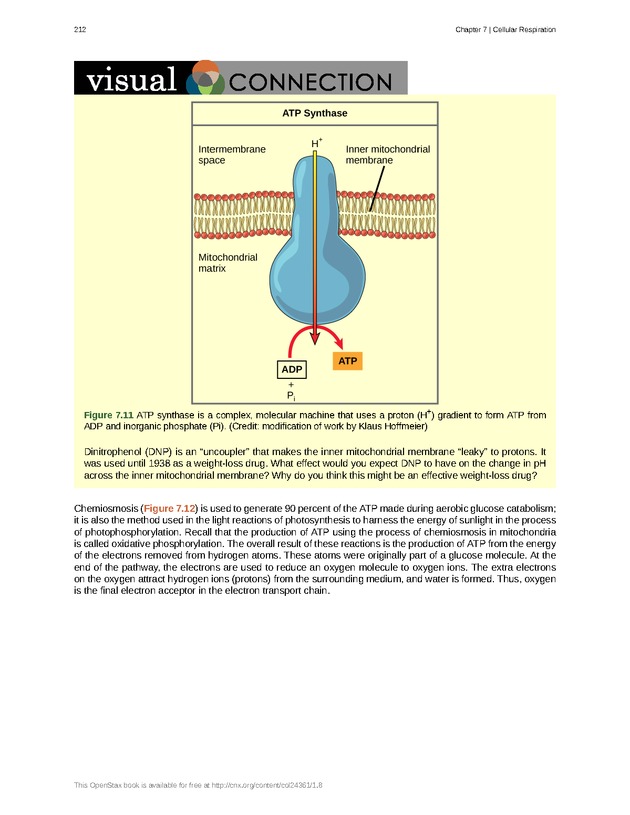 Biology - Front Matter 223