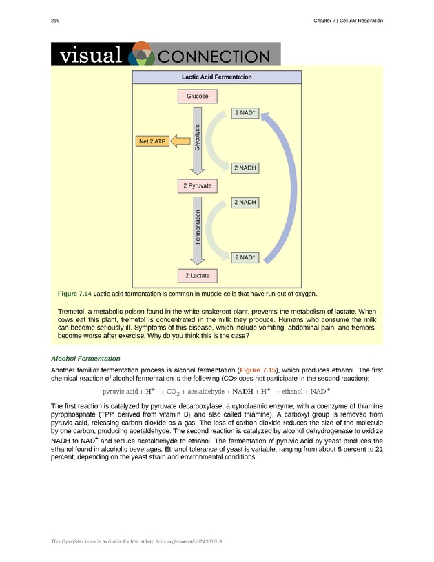 Biology - Front Matter 227