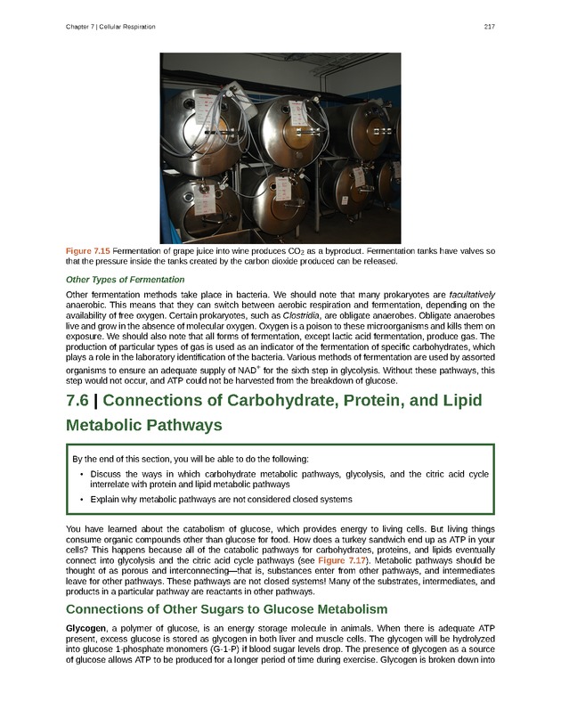 Biology - Front Matter 228