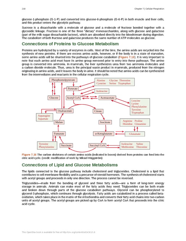 Biology - Front Matter 229
