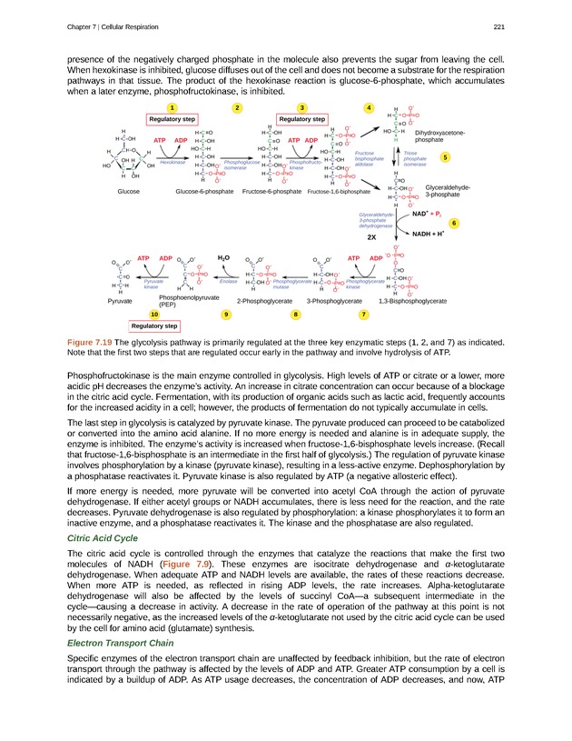 Biology - Front Matter 232