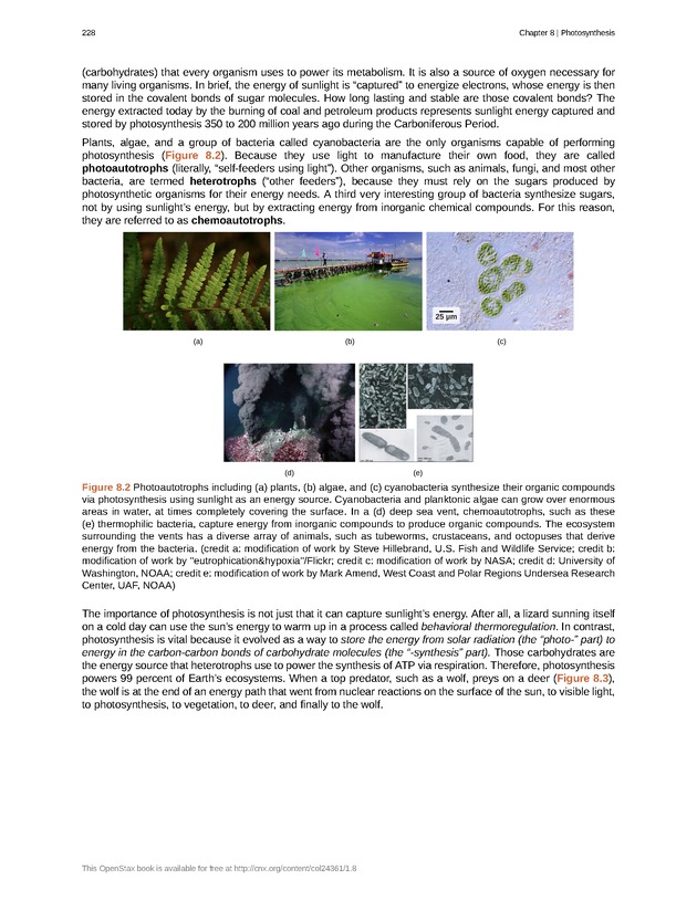 Biology - Front Matter 239