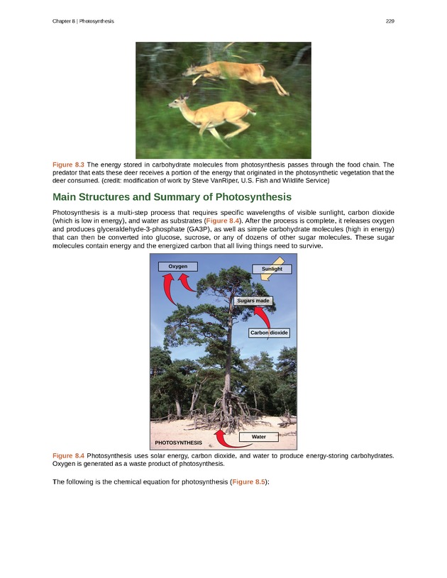 Biology - Front Matter 240