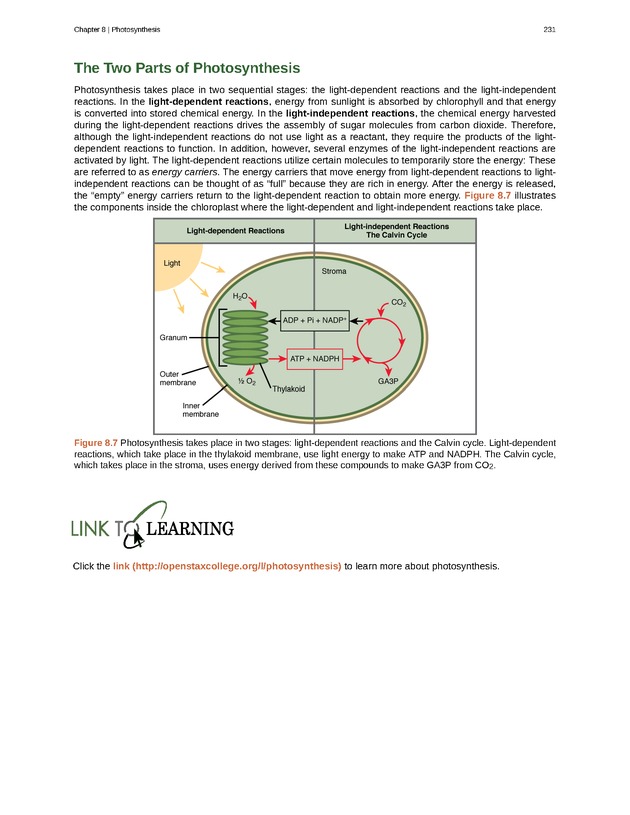 Biology - Front Matter 242