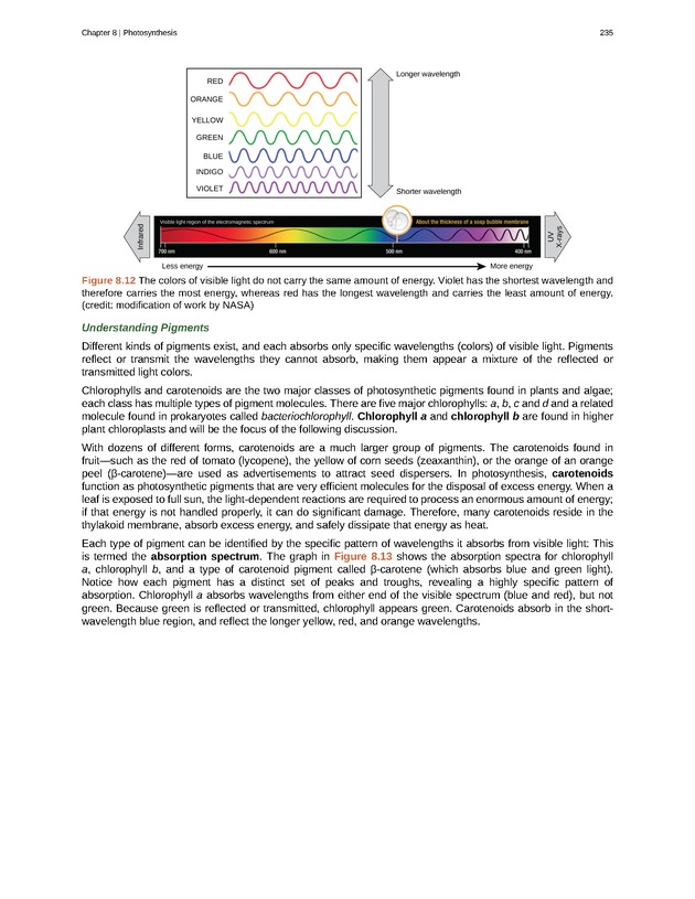 Biology - Front Matter 246