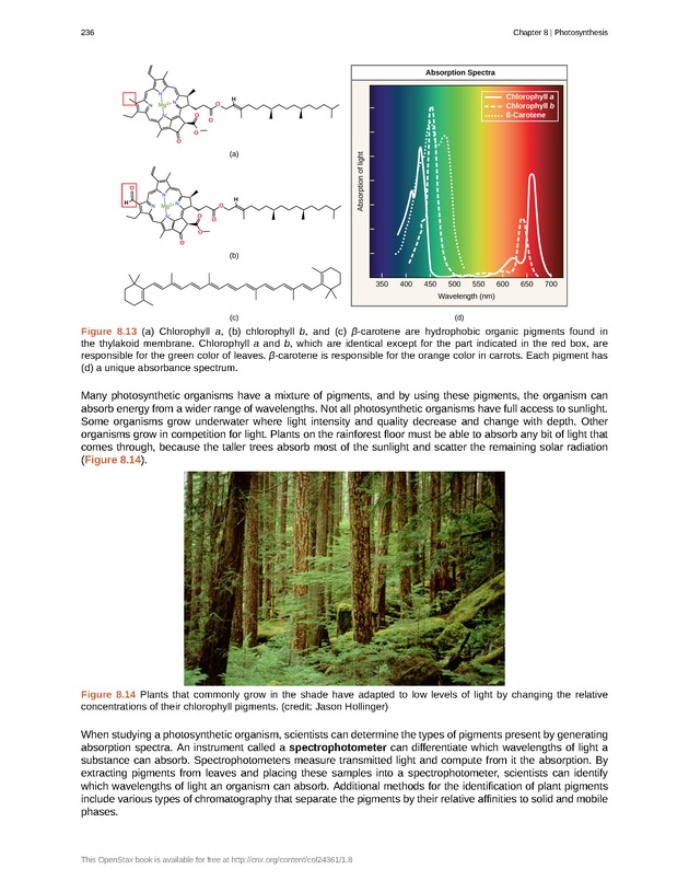 Biology - Front Matter 247