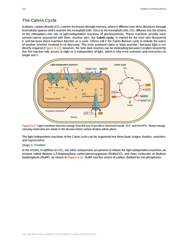 Biology - Front Matter 251