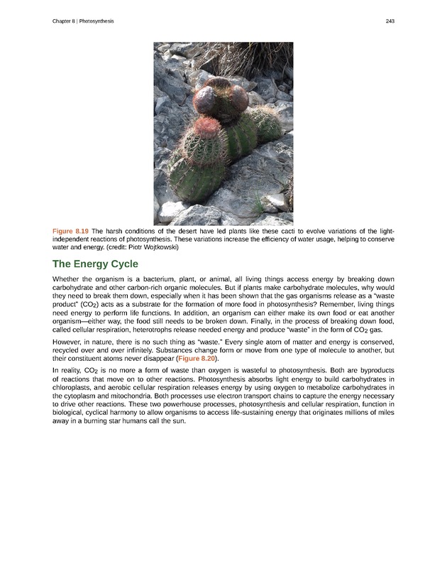 Biology - Front Matter 254